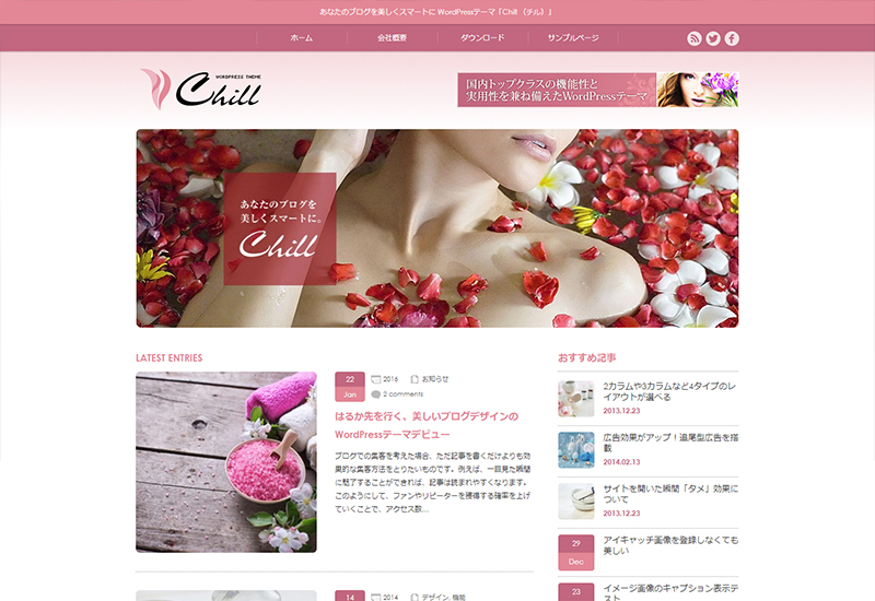 WordPress Theme Chill